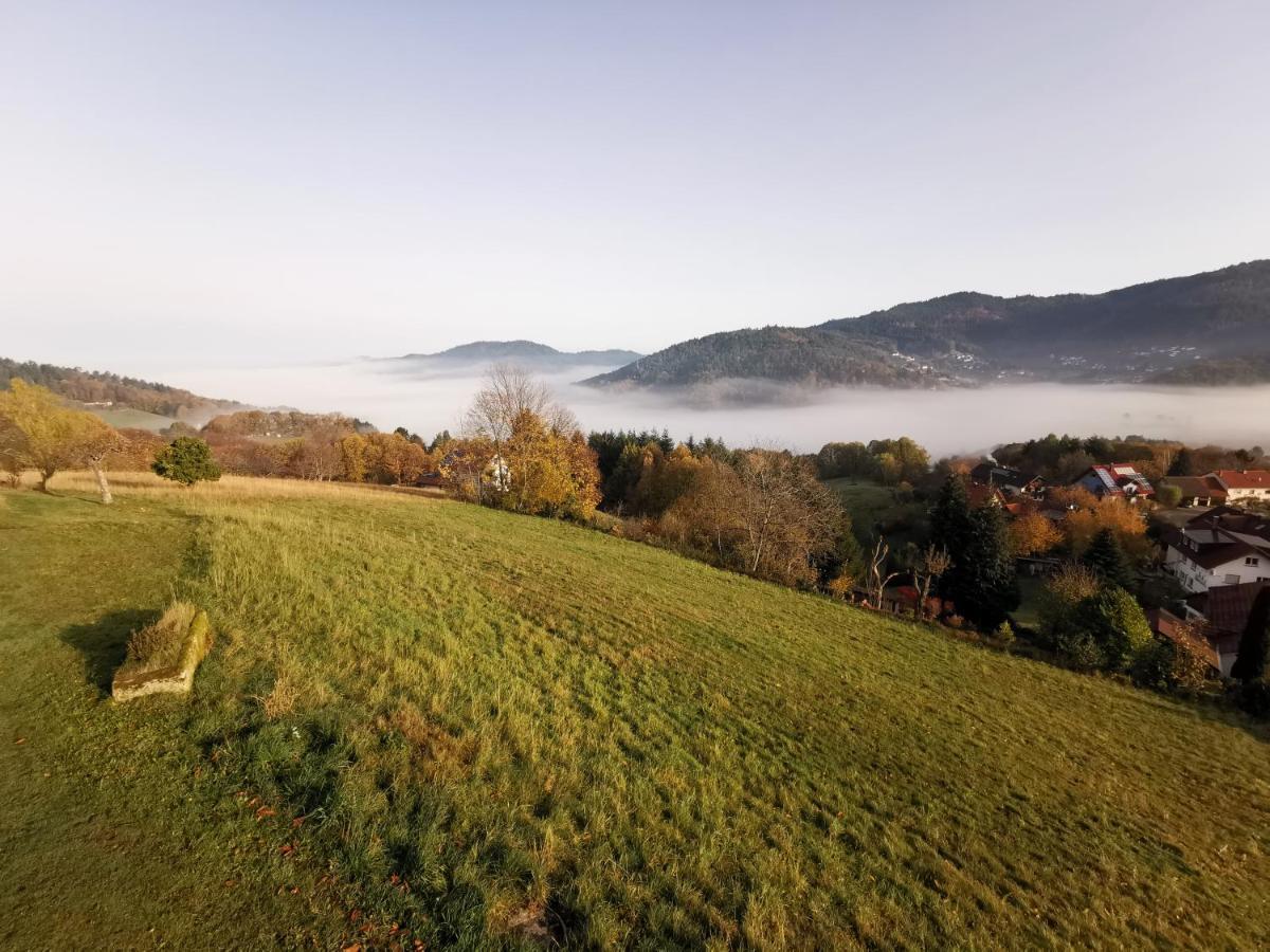 הוילה Bühlertal Haus Am Berg Mit Wellnessbereich, Bar Und Panorama מראה חיצוני תמונה
