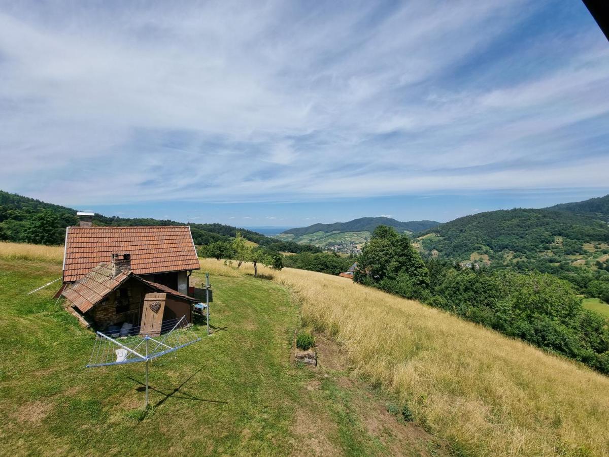 הוילה Bühlertal Haus Am Berg Mit Wellnessbereich, Bar Und Panorama מראה חיצוני תמונה