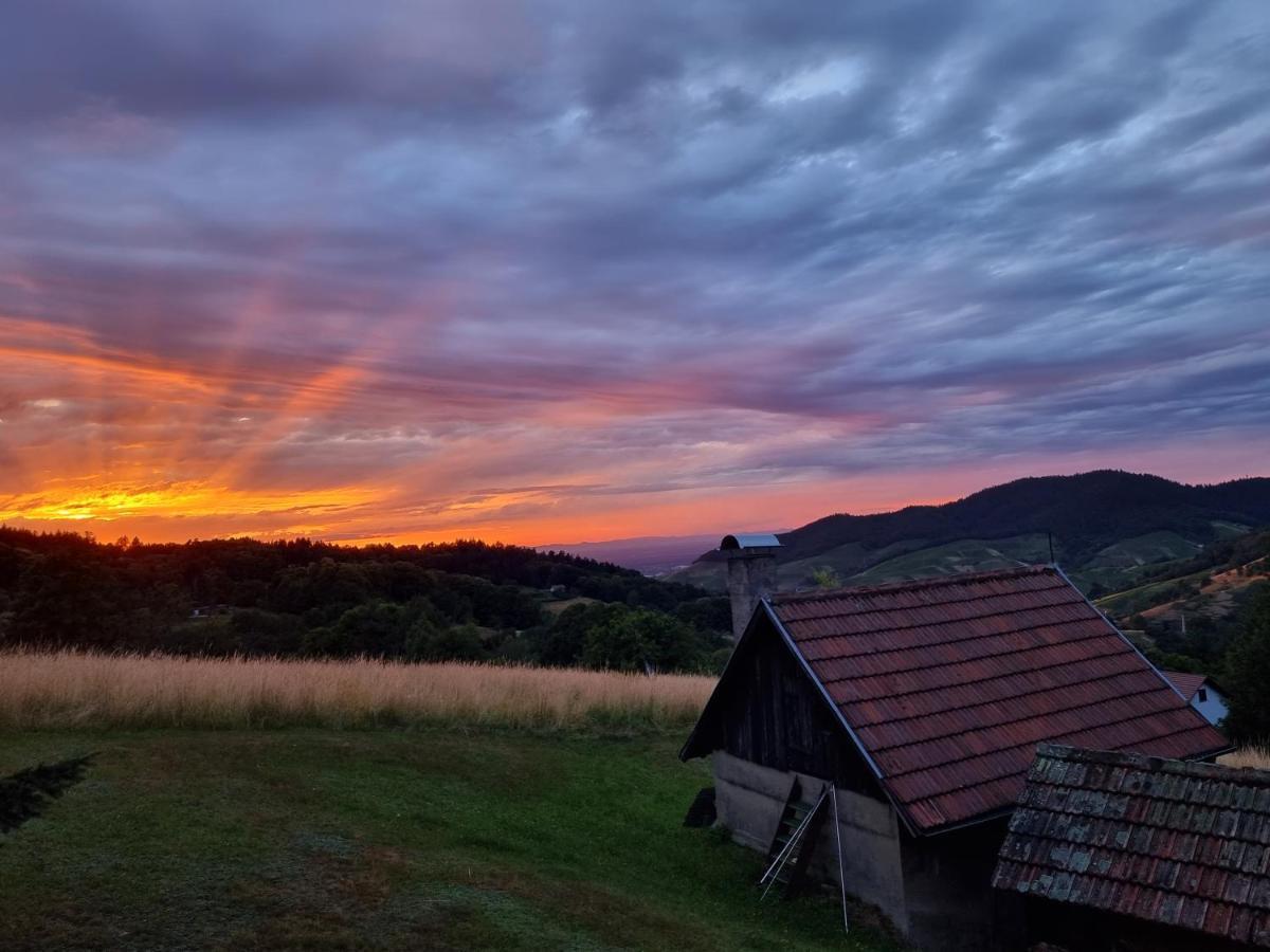 הוילה Bühlertal Haus Am Berg Mit Wellnessbereich, Bar Und Panorama מראה חיצוני תמונה