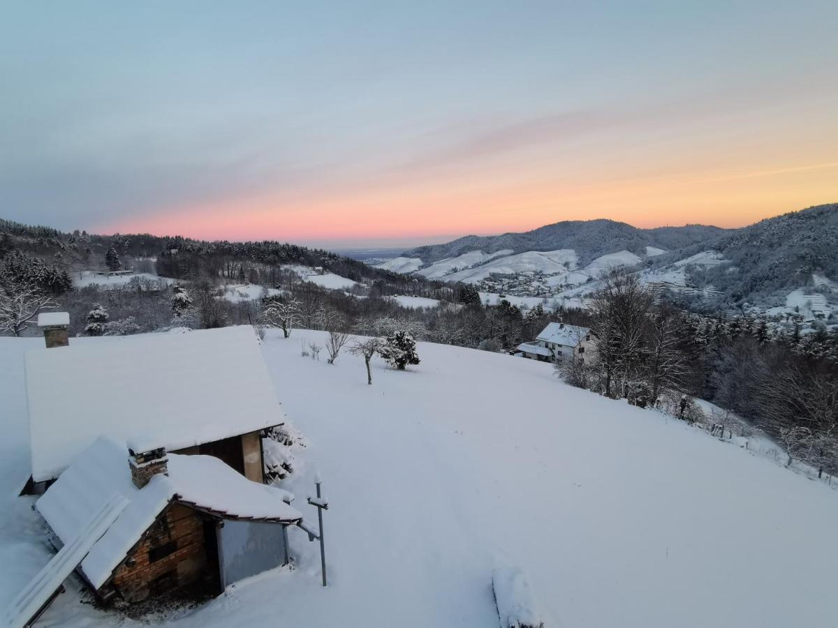 הוילה Bühlertal Haus Am Berg Mit Wellnessbereich, Bar Und Panorama מראה חיצוני תמונה